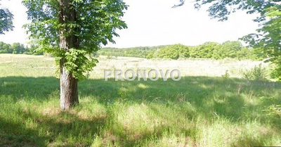 działka rolna 19 ha koło Węgorzyna - 2