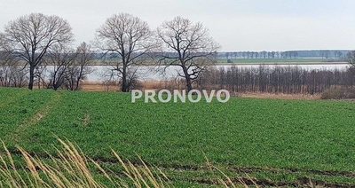 działka nad rzeką Dziwną - 4