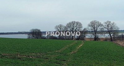 działka nad rzeką Dziwną - 3