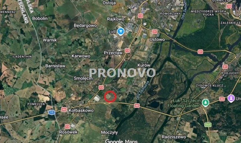Działki rolne Kołbaskowo- Siadło Górne - dd_6e65b6aa_zs_PKN-GS-1082_1.jpg