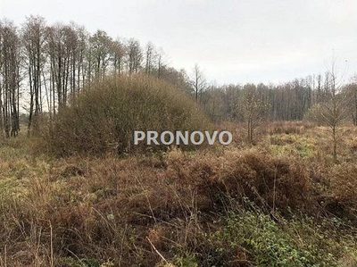 działka nad jeziorem Dominikowo - 2