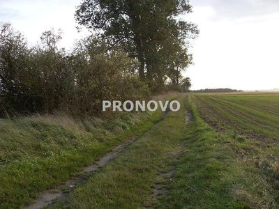 Działki budowlane objęte MPZP okolice Dusin - 2