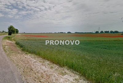 działka inwestycyjna 7 ha Pyrzyce - 5