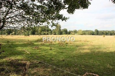 działka 4,5ha Tatynia z możliwością zabudowy - 3