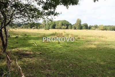 działka 4,5ha Tatynia z możliwością zabudowy - 5