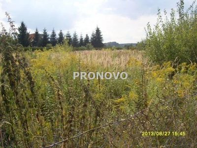 Działka w Zdrojach o powierzchni 6000m2 objęta Miejscowym Planem Zagospodarowania Przestrzennego z przeznaczeniem pod handel i usług .