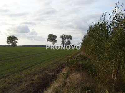 działki nad wodą Kamień Pomorski - 5