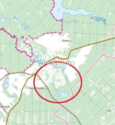 atrakcyjna działka rolna-agroturystyka Stara Studn - 5