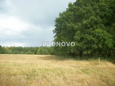 Działki z przeznaczeniem pod zabudowę mieszkaniową wolnostojącą w Smogolicach między Sownem i Stargardem. Z komplesu działek pozostała działka 1000m2 z WZ oraz 2000m2. Wydane warunki zabudowy, na dzi… - 3