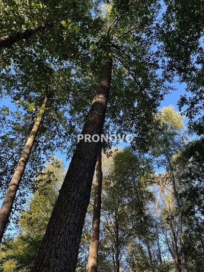 Działka budowlana przy jeziorach koło Łobza - 2