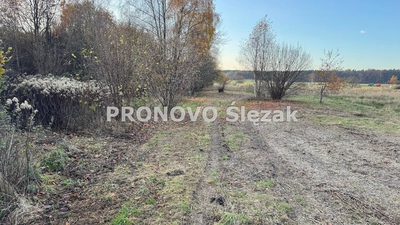Rościsławice.Działka 1266 m².8 min od Obornik Śl.