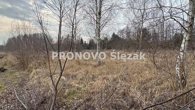 Działka budowlana 10,8 ara – Jary k. Obornik Śl. - 3