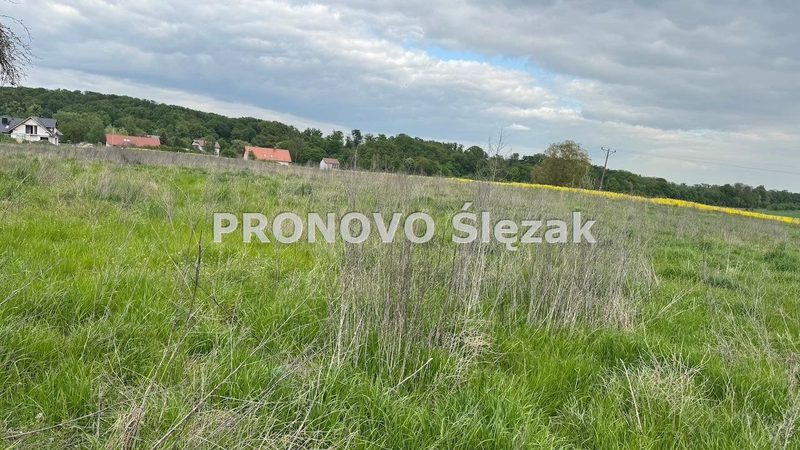 Sprzedam działkę z potencjałem - dd_6e65b6aa_zs_PROD-GS-1089_1.jpg
