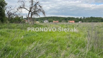 Sprzedam działkę z potencjałem - 5