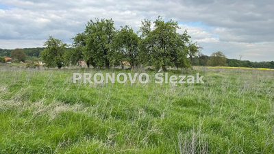 Sprzedam działkę z potencjałem - 4
