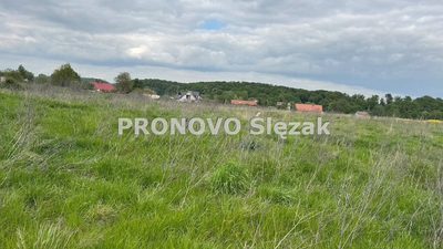 Sprzedam działkę z potencjałem - 3