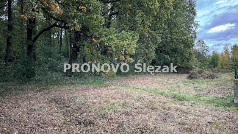 Sprzedam działkę budowlaną Siemianice k.Obornik Śl - dd_6e65b6aa_zs_PROD-GS-887_1.jpg