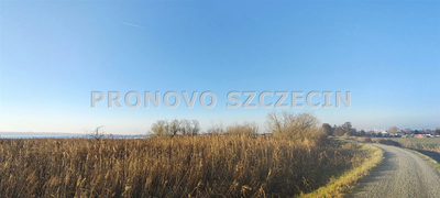 Lubczyna działka nad jeziorem sprzedaż - 3