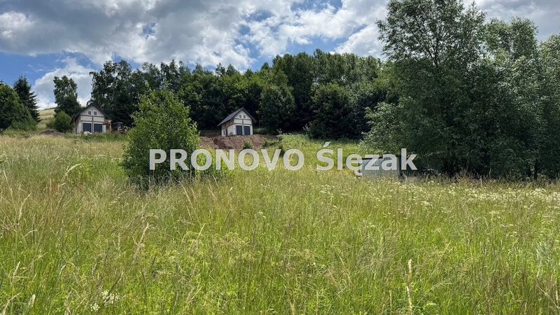 Sprzedam działkę 30 arów Michałkowa - dd_6e65b6aa_zs_PROD-GS-1033_1.jpg