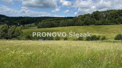 Sprzedam działkę 30 arów Michałkowa - 5