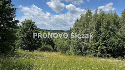 Sprzedam działkę 30 arów Michałkowa - 4