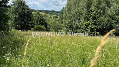 Sprzedam działkę 30 arów Michałkowa - 3