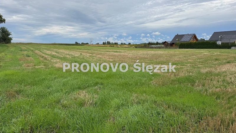 Sprzedam działkę w Lutyni - dd_6e65b6aa_zs_PROD-GS-1044_1.jpg
