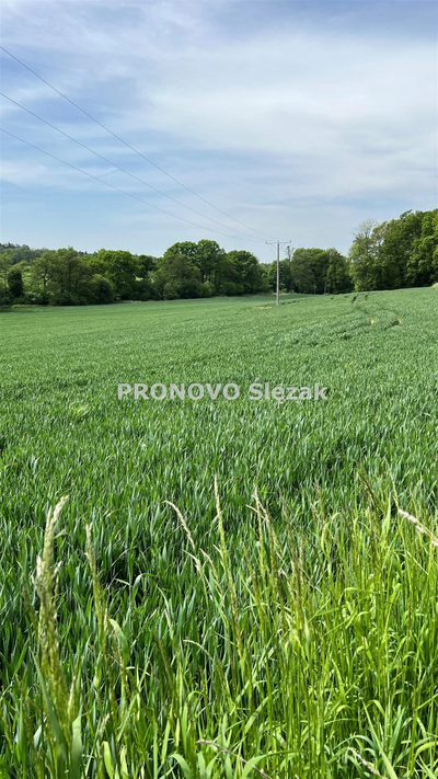 Działka budowlana w Borkowicach, blisko Obornik Ś - 5