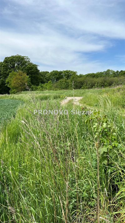 Działka budowlana w Borkowicach, blisko Obornik Ś - 4