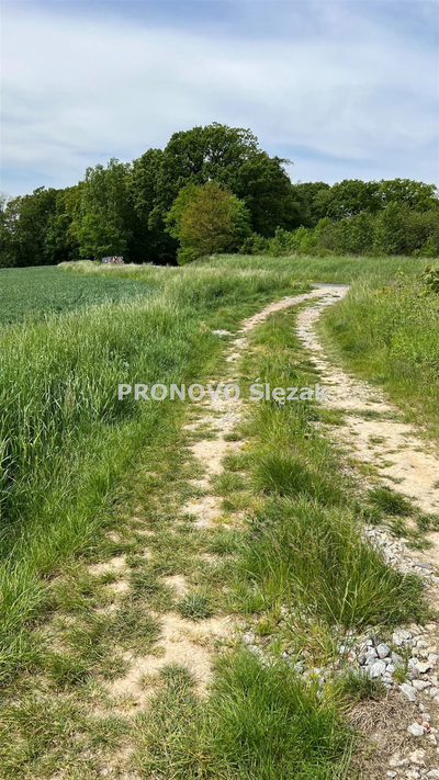 Działka budowlana w Borkowicach, blisko Obornik Ś - 3