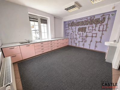 228 m² | lokal medyczny/usługowy/biurowy - 5