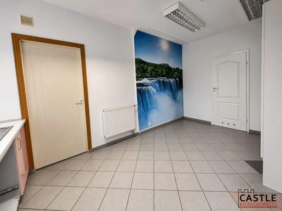 228 m² | lokal medyczny/usługowy/biurowy - 4