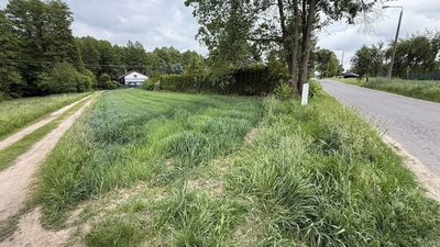 Stare Skoszewy: Działka z duszą i widokiem - 4