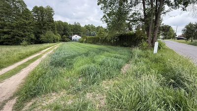 Stare Skoszewy: Działka z duszą i widokiem - 5