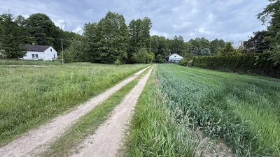 Stare Skoszewy: Działka z duszą i widokiem - 2