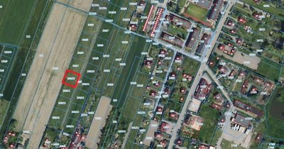 Spokojna działka pod miastem - 3