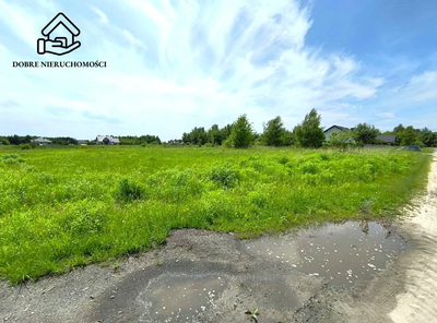 Tania działka budowlana 1000 m2 - Ostrów Lubelski - 2