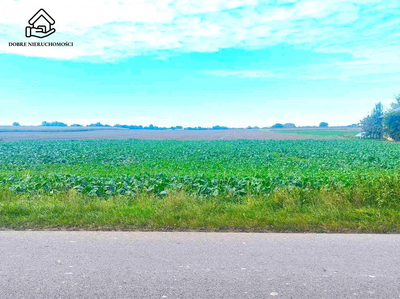 Szeroka działka 4 km od Nałęczowa