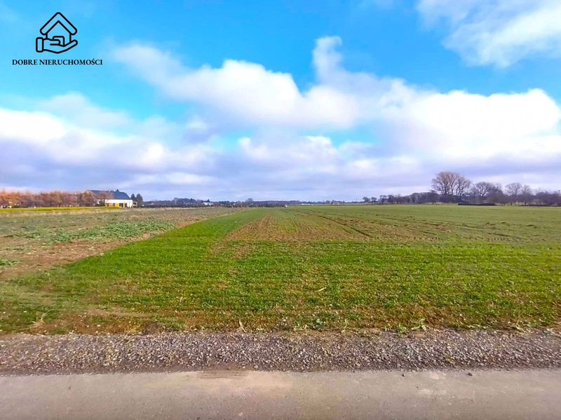 2600 m2 - Konopnica- Sporniak - dd_fb4450c2_zs_239586_1.jpg