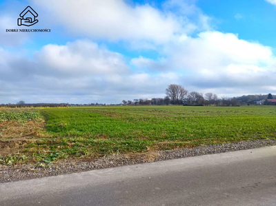 2600 m2 - Konopnica- Sporniak - 5