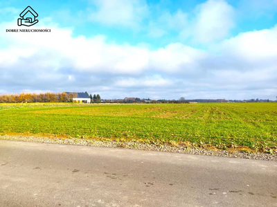 2600 m2 - Konopnica- Sporniak - 4