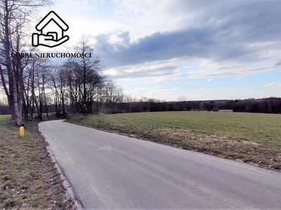 4834 m2 - Wojciechów - zabudowa jednorodzinna