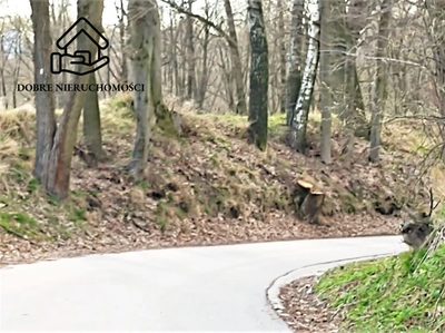 4834 m2 - Wojciechów - zabudowa jednorodzinna - 3