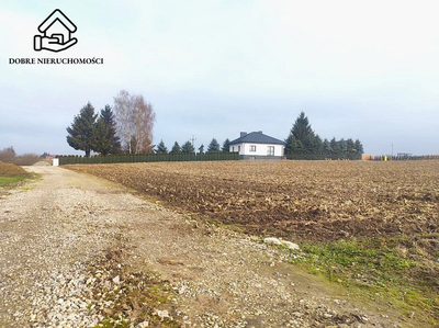 Duża działka - Wz - Miłocin