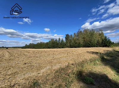 2564 m2 przy drodze asfaltowej - piękna okolica. - 2
