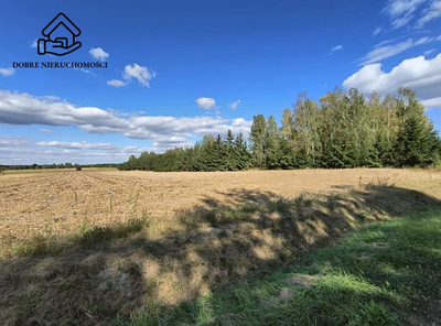 2564 m2 przy drodze asfaltowej - piękna okolica. - 3