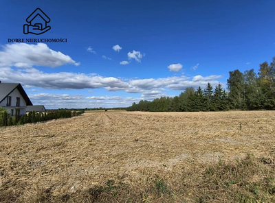 2564 m2 przy drodze asfaltowej - piękna okolica. - 4