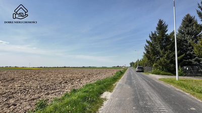 Ostatnia działka 44 ary - Charlęż gm. Spiczyn - 4