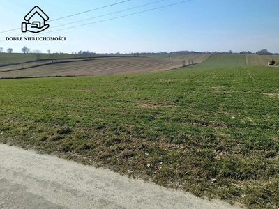 1959 m2 - Jakubowice Konińskie - Kolonia