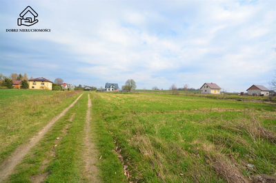 Działka budowlana 16ary - Boniewo , Fajsławice - 2